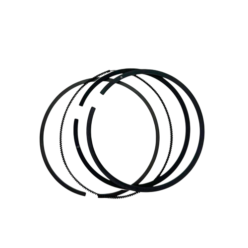 Ring Set, Animal & World Formula, Briggs, Standard