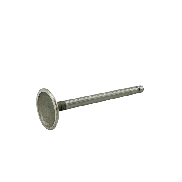 Genuine OEM Briggs & Stratton Intake Valve - World Formula
