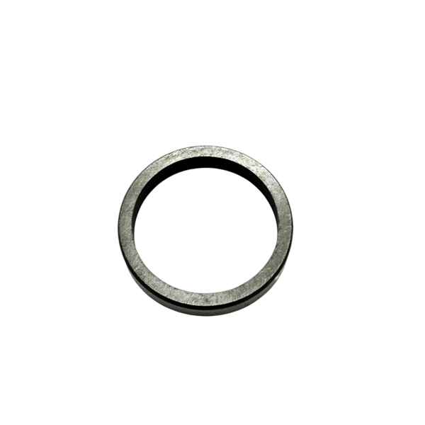 Genuine Briggs & Stratton Valve Seat