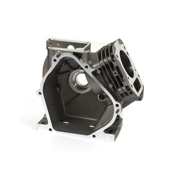 Briggs & Stratton Animal Cylinder Assembly (Block)