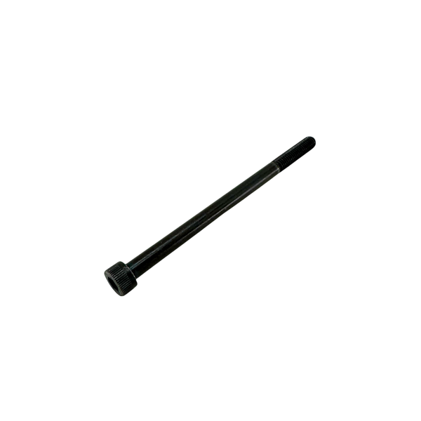 Bolt, Allen Head, M6 x 100mm, Each