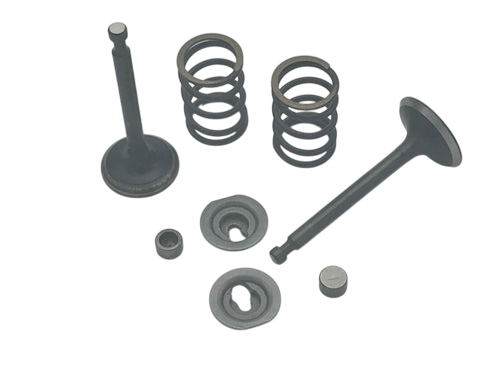 Valve & Spring Package, Stock Appearing Big Valve, 6.5 OHV Clone & 212 Predator