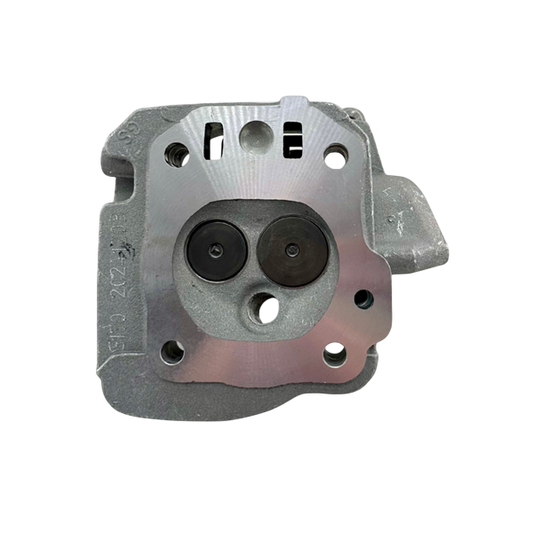 🔥Shredder 16cc Racing Head, GX200, 212/224 Predator, 6.5 OHV Clone MOST POPULAR