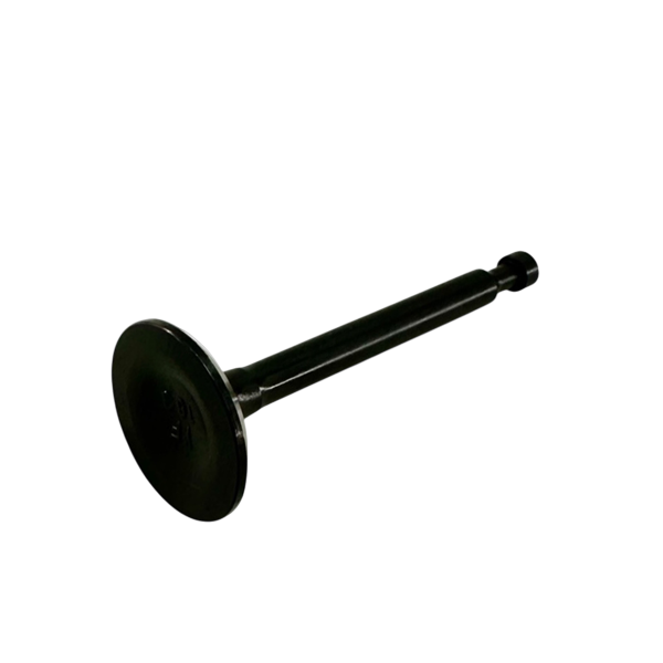 Valve, 24mm, Exhaust, BSP Racing ''Clone''