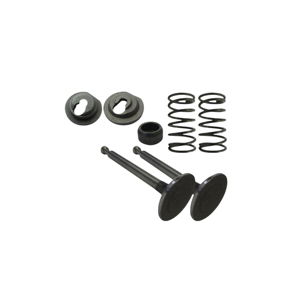 Valve Set, 6.5 BSP ''Clone''