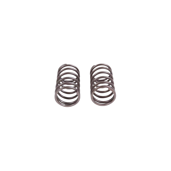 Genuine Honda 16lb Valve Springs - Pair