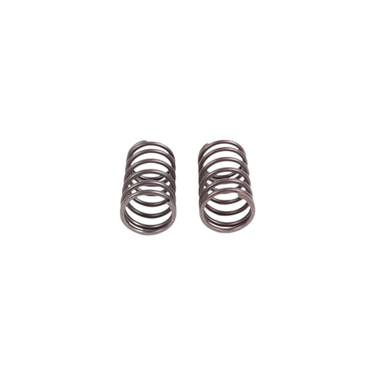 Genuine Honda 16lb Valve Springs - Pair