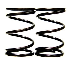 Springs, Valve, 10.8lb, Genuine Honda, Take-Off, Pair