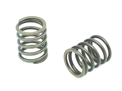 Genuine Honda GX160 G4 European Valve Springs - Pair