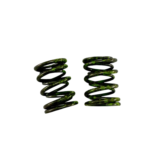 Springs, Valve, 37lb, Green Stripe, Pair