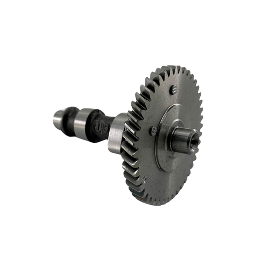 252 Series Camshaft  Approximately .252 Lift and 230 Degrees Duration (at .050)