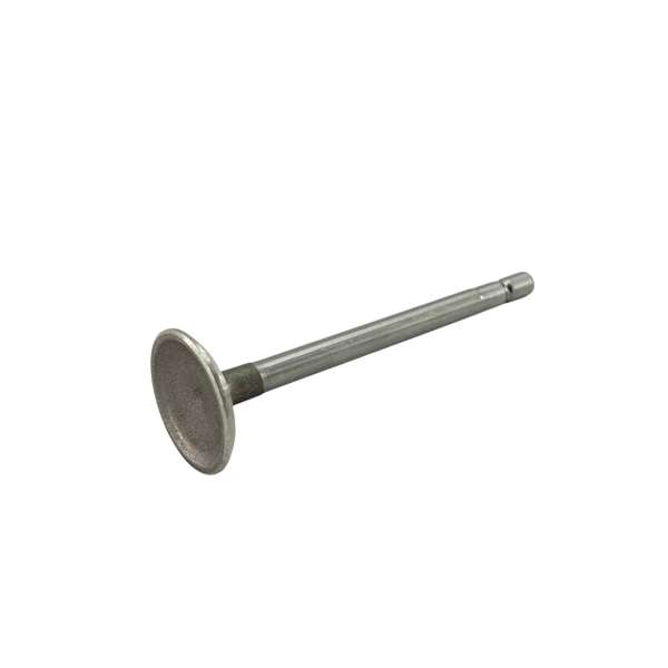 OEM Briggs & Stratton Intake Valve - Animal