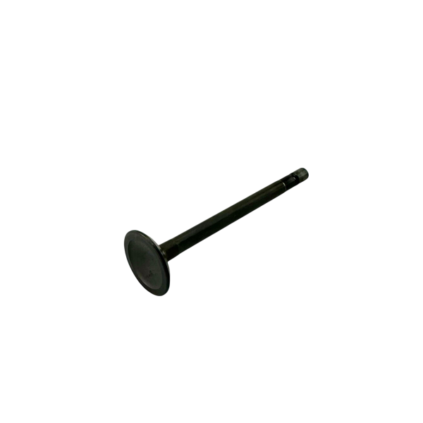 OEM Briggs & Stratton Exhaust Valve - Animal