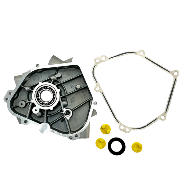Genuine Briggs & Stratton World Formula Side Cover #555706