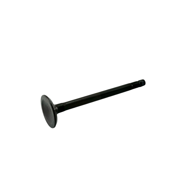 OEM Briggs & Stratton Exhaust Valve - World Formula