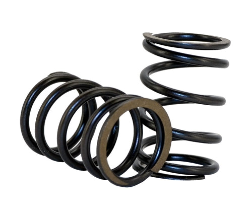 22lb Valve Spring - Pair