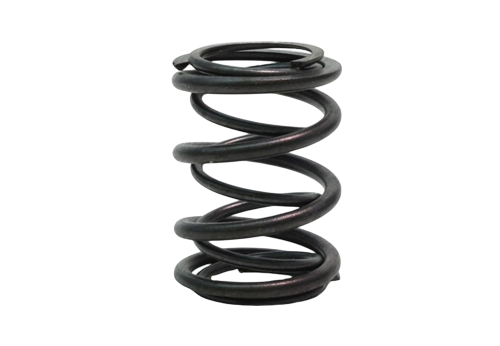 Springs, Valve, 45lb Dual, Pair