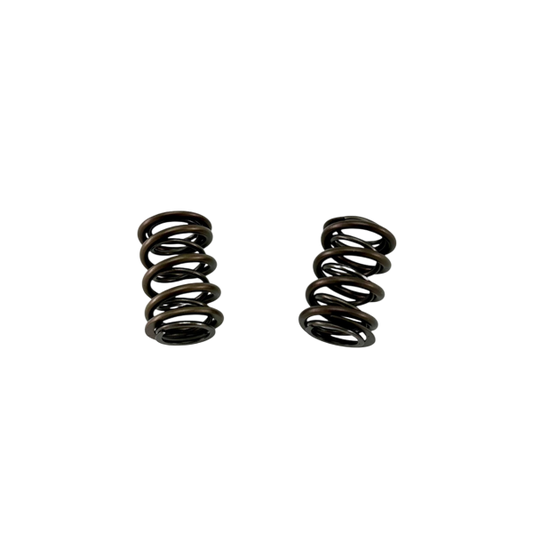 Comp Cams GP965 Dual Valve Springs
