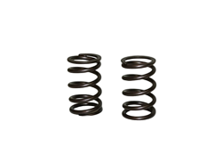 Springs, Valve, HD, 48lb Single (Blue Stripe), GX270, GX390s & 420 Predators, Pair