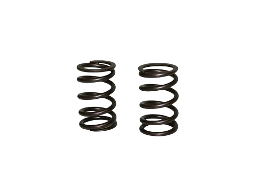Comp Cams GP966 Severe Duty Valve Springs - Pair