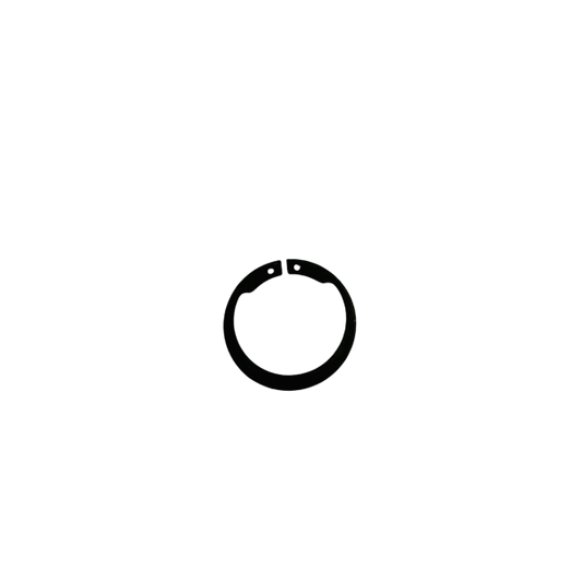Snap Ring, Clutch Hub, Max-Torque