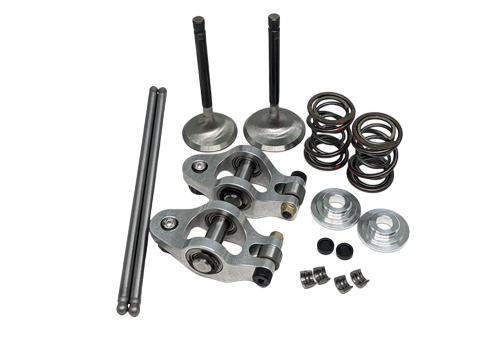 Valve Package, Hemi Predator, Big Valve with Dual Springs