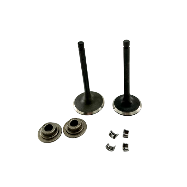 Valve Set, 420 Hemi Predator, 38/34mm