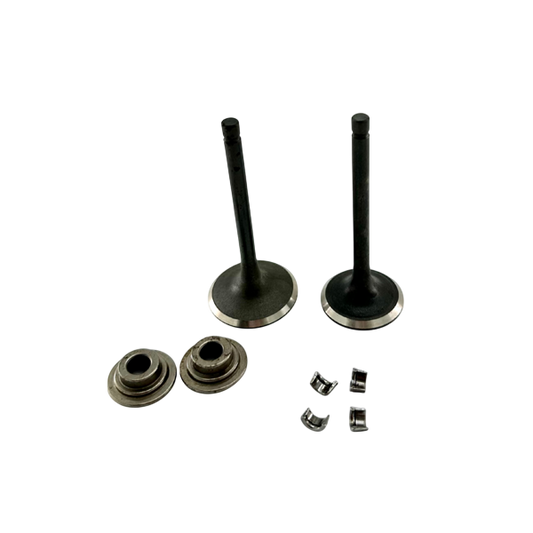 Valve Set, 420 Hemi Predator, 38/34mm