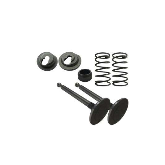 Valve Set, 6.5 BSP ''Clone''