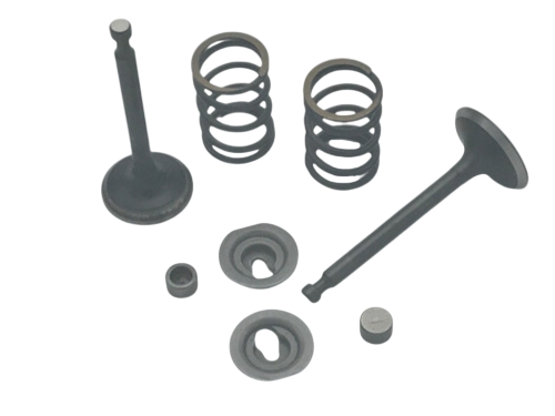 Valve Set, 212 Hemi Predator, 27/25mm